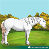 Horse Color:White Spotted Brown Splash Snowflake Varnish 