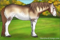 Horse Color:White Spotted Liver Red Onyx 