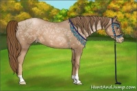 Horse Color:Liver Chestnut Ice Pearl 