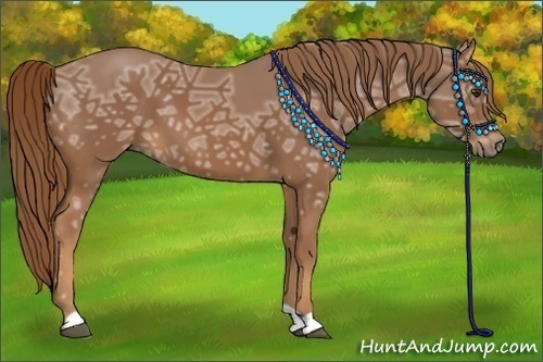 Horse Color:Chestnut Ice