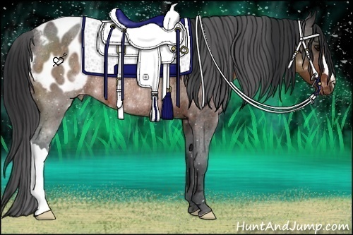 Horse Color:Brown Roan Varnish Rabicano 