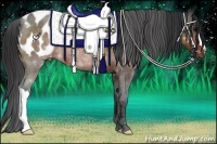 Horse Color:Brown Roan Varnish Rabicano