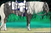 Horse Color:Liver Chestnut Appaloosa Rabicano