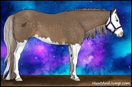 Horse Color:Chocolate Palomino Splash