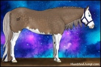 Horse Color:Chocolate Palomino Splash 