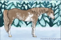 Horse Color:Liver Red Dun Sabino