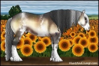 Horse Color:White Spotted Bay Onyx 