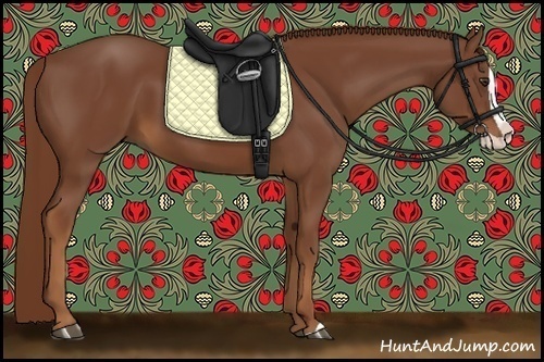 Horse Color:Chestnut Splash
