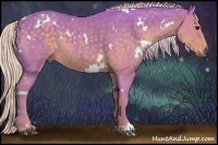 Horse Color:Watercolor White Spotted Silver Black