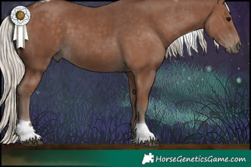 Horse Color:Silver Black Tobiano Rabicano