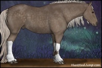 Horse Color:Silver Black Tobiano Rabicano 