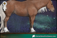 Horse Color:Silver Black Tobiano Rabicano 