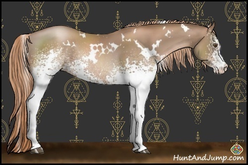 Horse Color:White Spotted Liver Chestnut Pearl Rabicano