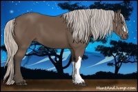 Horse Color:Silver Black 