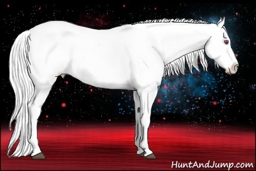 Horse Color:Silver Blue Chinchilla Roan Pearl Appaloosa 