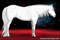 Horse Color:Silver Blue Chinchilla Roan Pearl Appaloosa