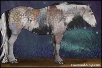 Horse Color:ERROR: UNKNOWN ANOMALY and Chocolate Silver Black Chinchilla 