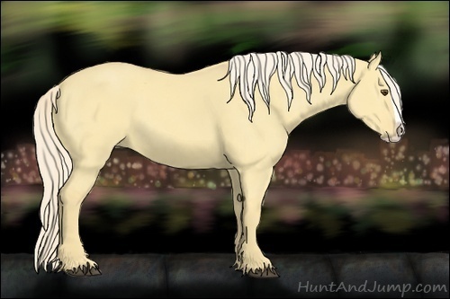 Horse Color:Palomino Dun Splash 