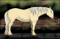 Horse Color:Palomino Dun Splash 