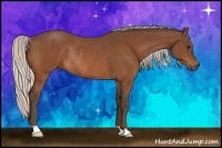 Horse Color:Silver Bay Rabicano