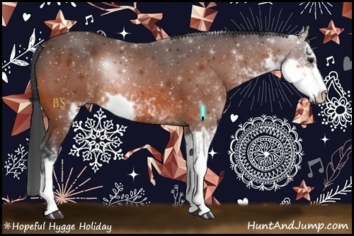 Horse Color:Bay Sabino Rabicano 