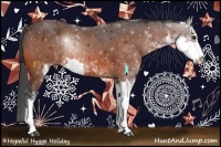 Horse Color:Bay Sabino Rabicano