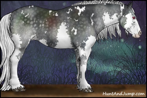 Horse Color:White Spotted Silver Black Chinchilla Splash Rabicano 