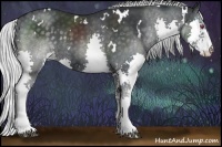 Horse Color:White Spotted Silver Black Chinchilla Splash Rabicano