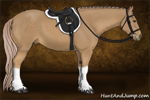 Horse Color:Palomino Tobiano 