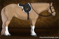 Horse Color:Palomino Tobiano 