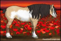 Horse Color:Bay Dun Sabino Frame