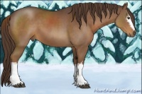 Horse Color:White Spotted Liver Chestnut 
