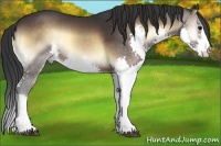 Horse Color:Brown Onyx Splash