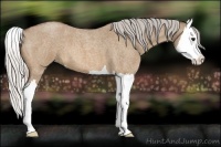 Horse Color:Silver Bay Roan Dun Splash 