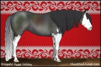 Horse Color:Black Sabino Splash