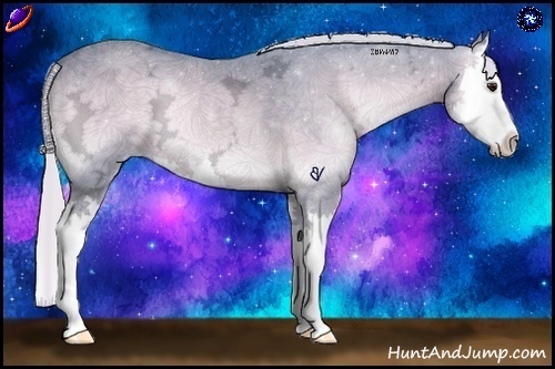 Horse Color:Watercolor Silver Blue Onyx Chinchilla Ice Sabino Splash 