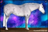 Horse Color:Watercolor Silver Blue Onyx Chinchilla Ice Sabino Splash