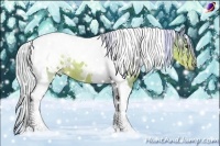 Horse Color:Watercolor White Spotted Silver Buckskin Tobiano Rabicano