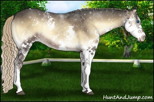 Horse Color:White Spotted Liver Red Onyx Splash 