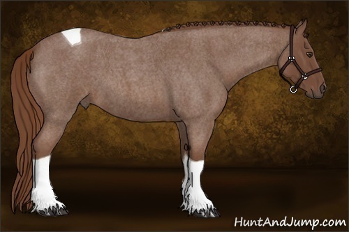 Horse Color:Red Roan Tobiano 