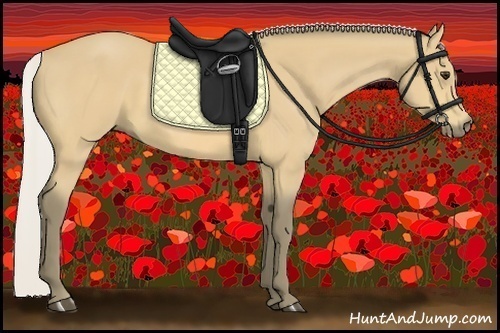 Horse Color:Silver Buckskin 