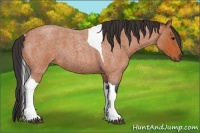 Horse Color:Bay Roan Tobiano