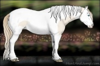 Horse Color:Perlino Roan Splash Tobiano