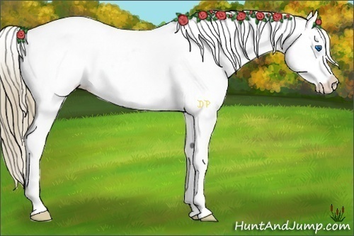 Horse Color:Liver Chestnut Sabino Splash Near Leopard 