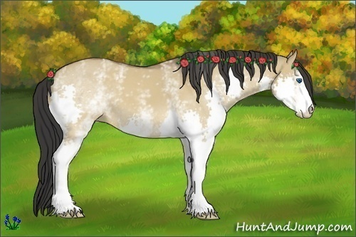 Horse Color:White Spotted Bay Dun Sabino Splash 
