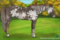 Horse Color:Chocolate Palomino Ice