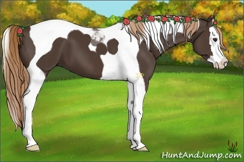 Horse Color:Liver Chestnut Splash Tobiano 