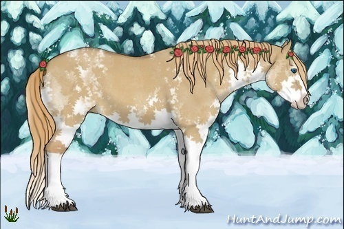 Horse Color:White Spotted Red Dun Splash 