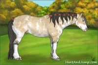 Horse Color:White Spotted Bay Dun Splash Rabicano 