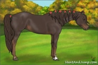 Horse Color:Liver Chestnut Sabino